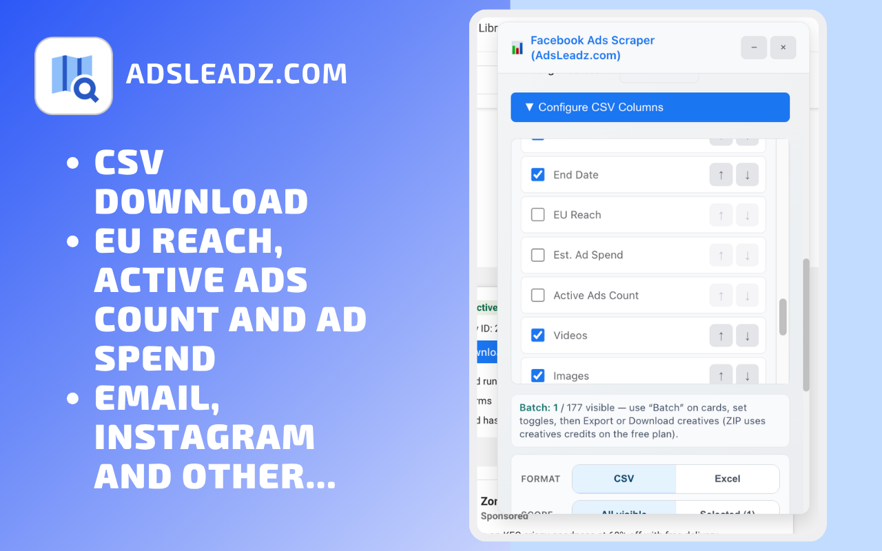 AdsLeadz extension filters for Meta Ads Library results
