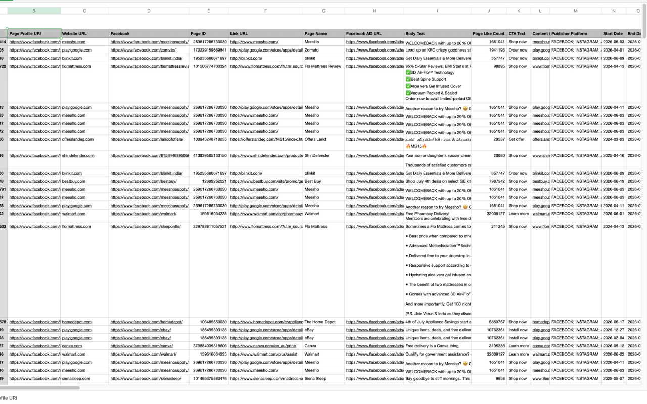 Exported scraped Facebook ad data from AdsLeadz extension