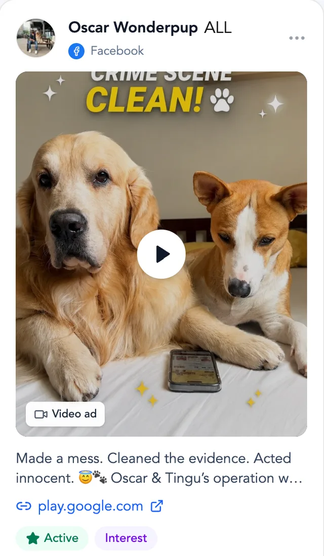 Active ad from a tracked advertiser with creative, copy, landing page, duration and format